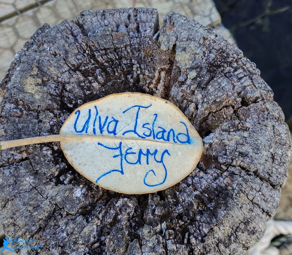 Ferry ticket to Ulva island